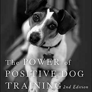 The Power of Positive Dog Training