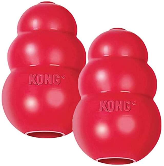 Kong