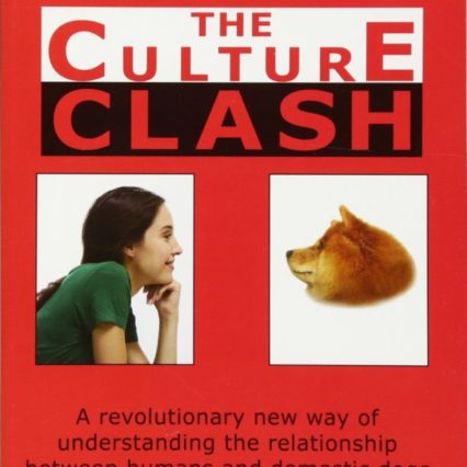The Culture Clash