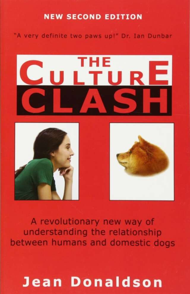 The Culture Clash