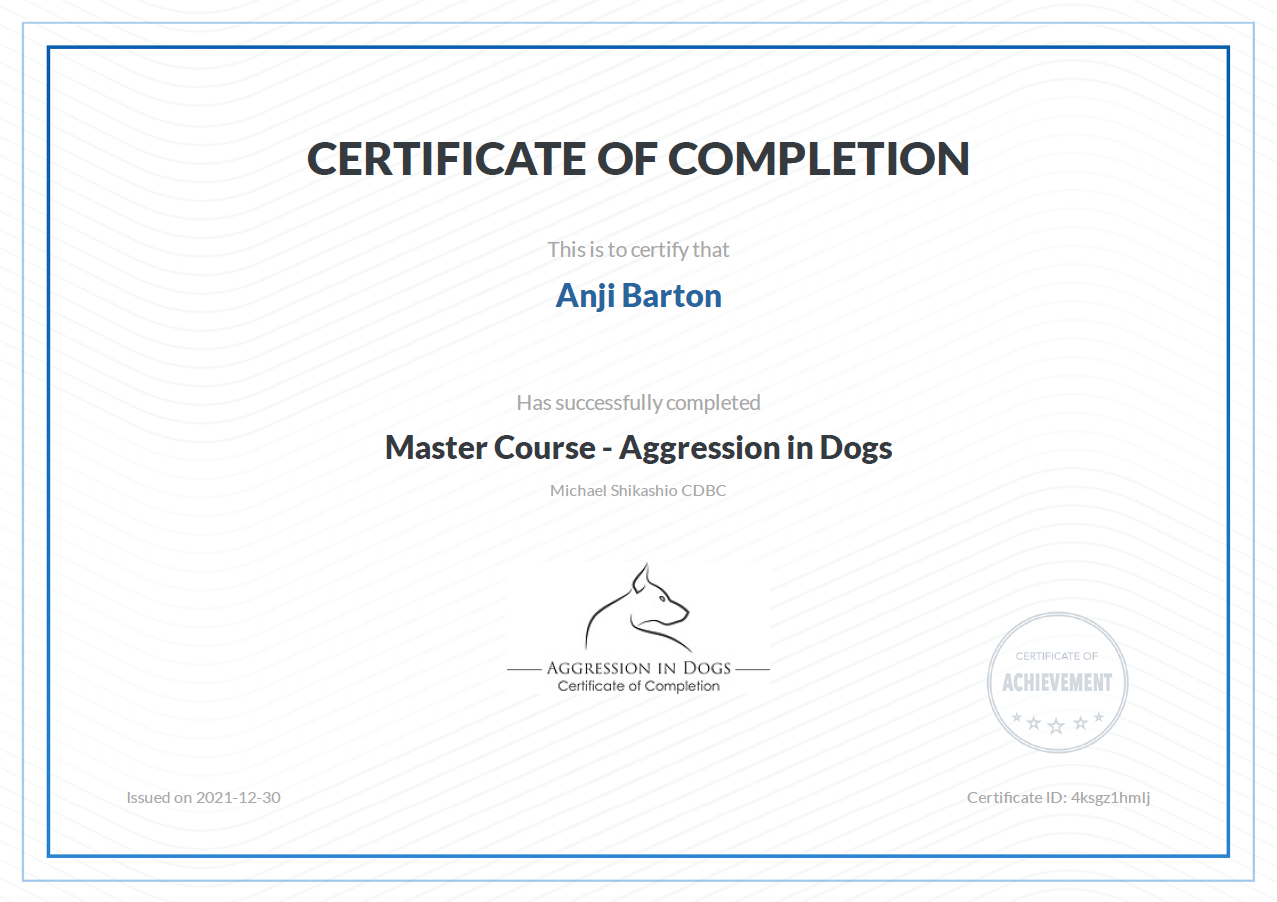 Anji Barton Toronto Dog Training