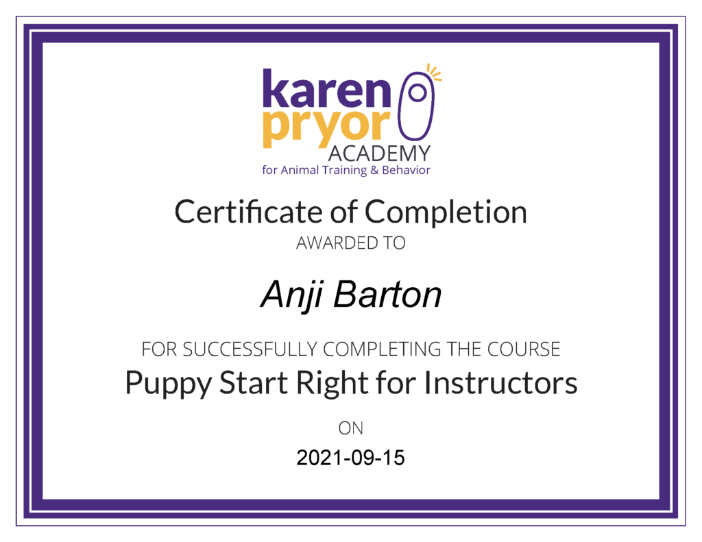 Anji Barton Toronto Dog Training