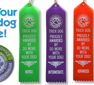 Trick Dog Titles