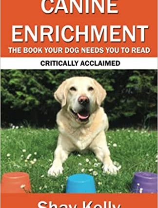 Canine Enrichment: The Book Your Dog Needs You to Read