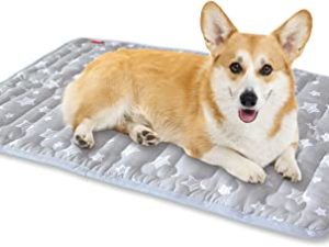 Dog Mat