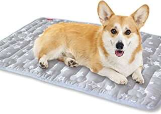 Dog Mat