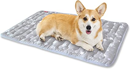 Dog Mat