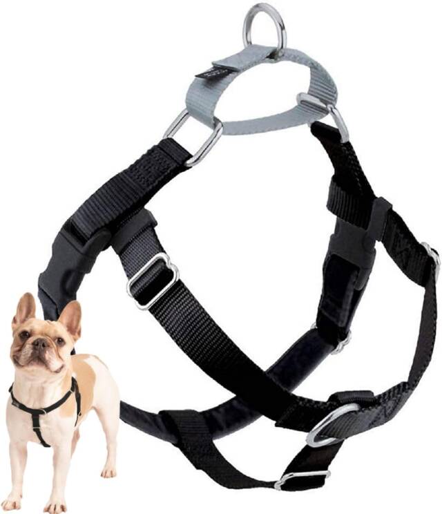 2 Hounds Design Freedom No Pull Dog Harness