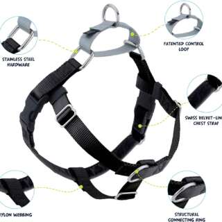 2 Hounds Design Freedom No Pull Dog Harness