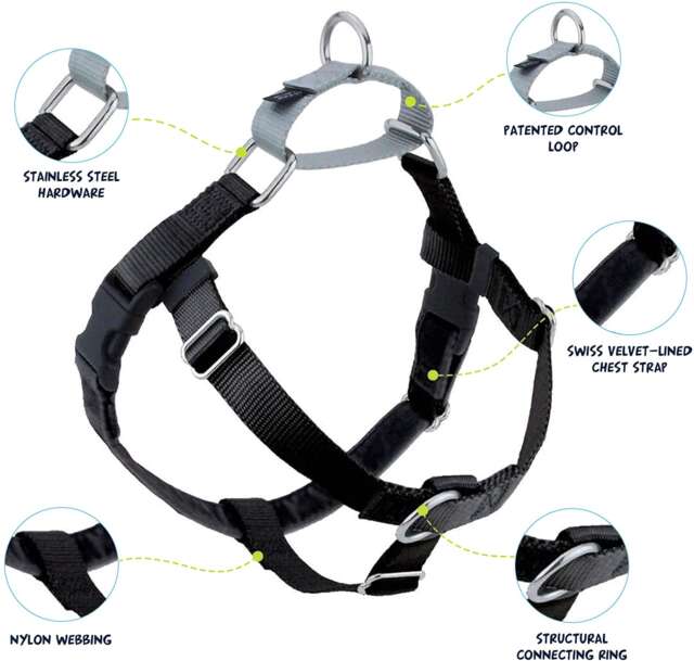 2 Hounds Design Freedom No Pull Dog Harness