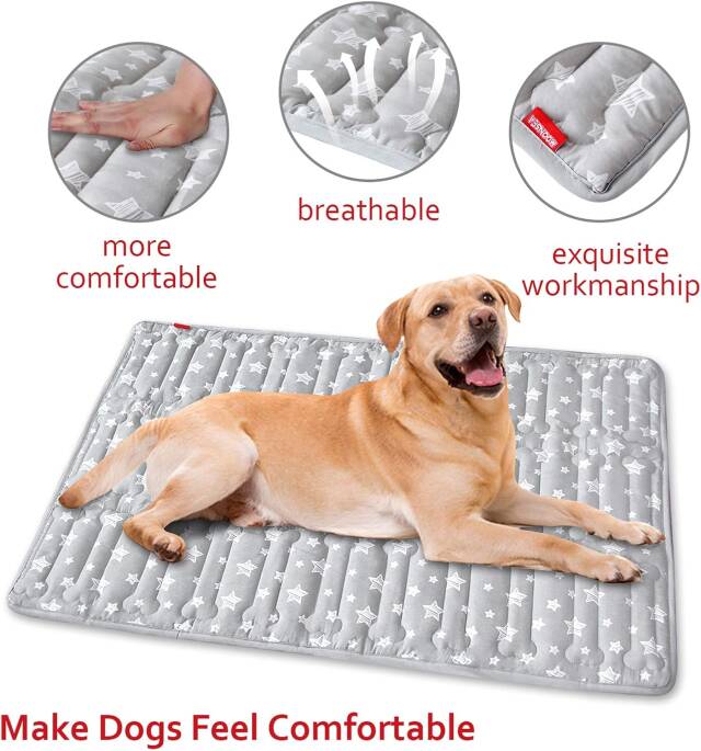 Dog Mat