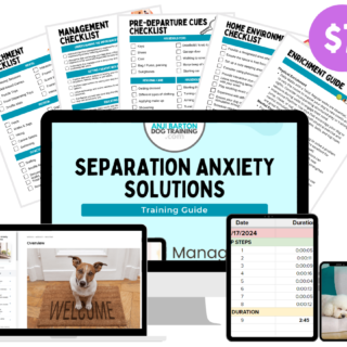 Separation Anxiety Training Toolkit