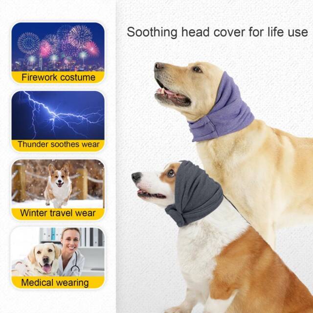 Calming Dog Hoodie - Image 9