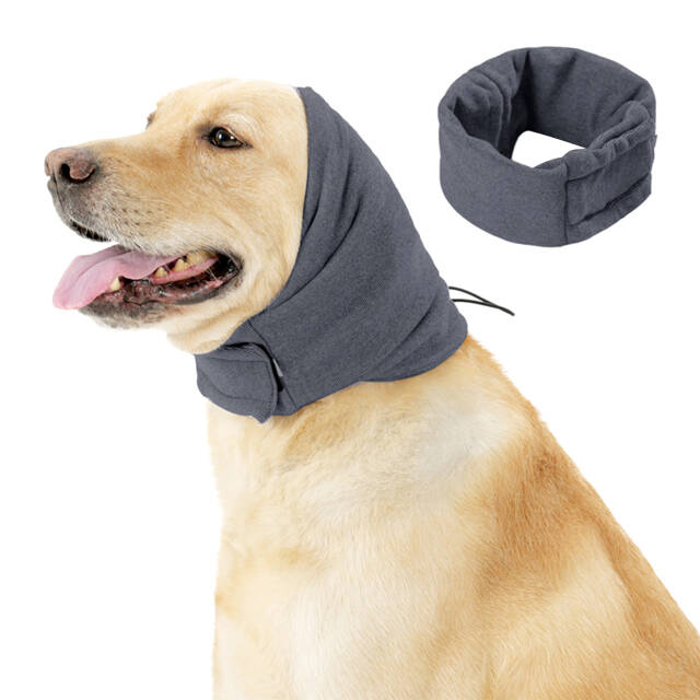 Calming Dog Hoodie