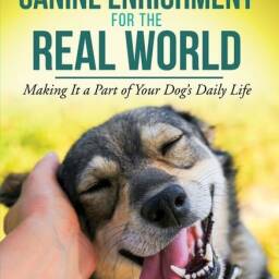 Canine Enrichment for the Real World