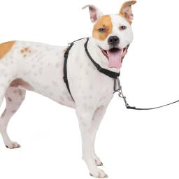 PetSafe 3-in-1 Dog Harness