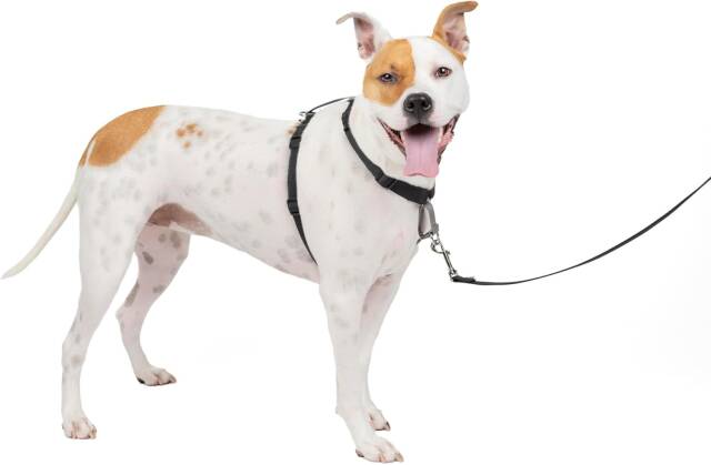 PetSafe 3-in-1 Dog Harness