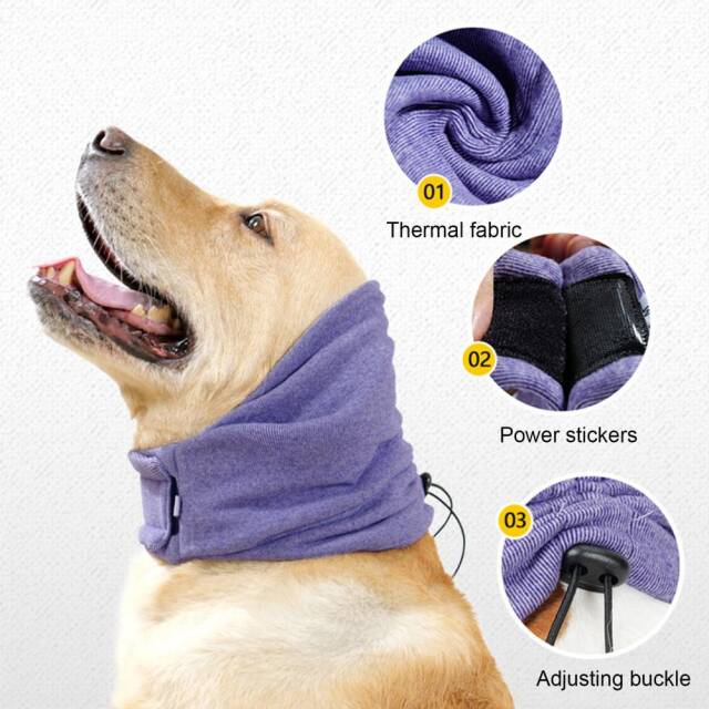 Calming Dog Hoodie - Image 4