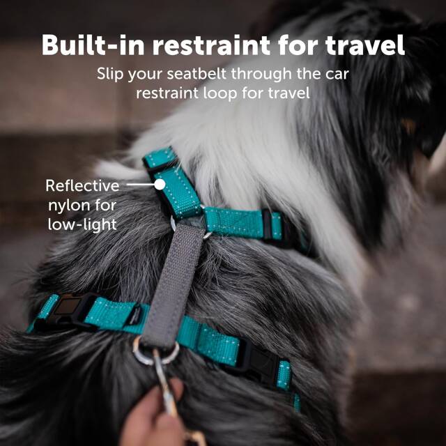 PetSafe 3-in-1 Dog Harness