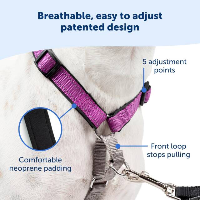 PetSafe 3-in-1 Dog Harness