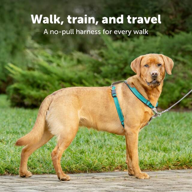 PetSafe 3-in-1 Dog Harness