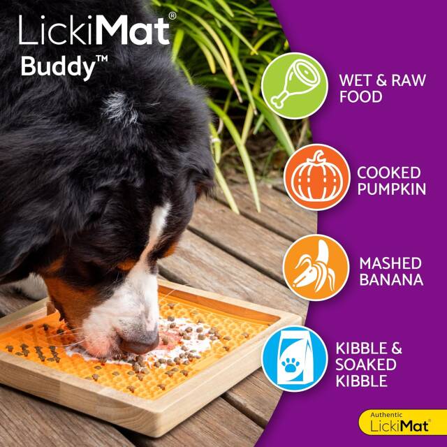 Lick Mat