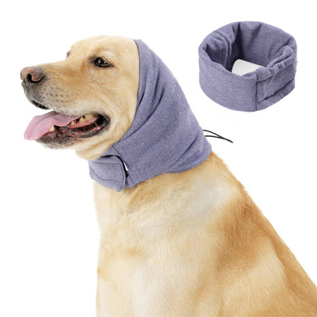 Calming Dog Hoodie - Image 2