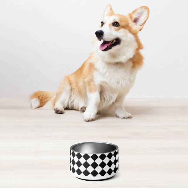 Checker Dog Bowl - Image 3