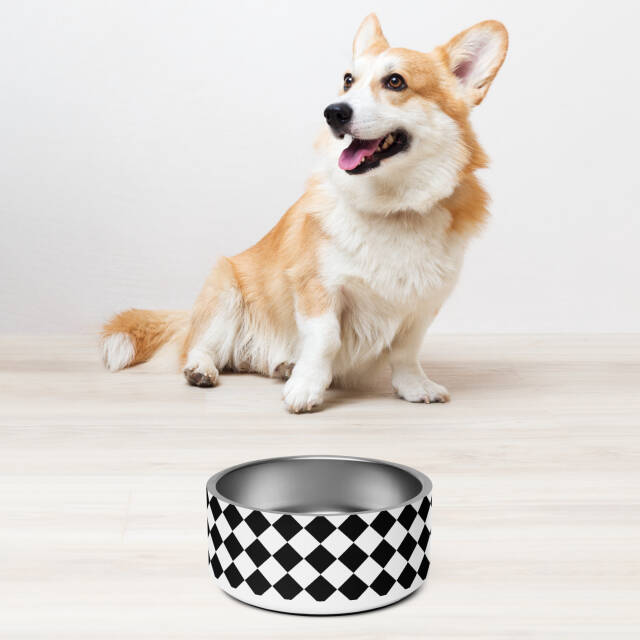 Checker Dog Bowl - Image 4