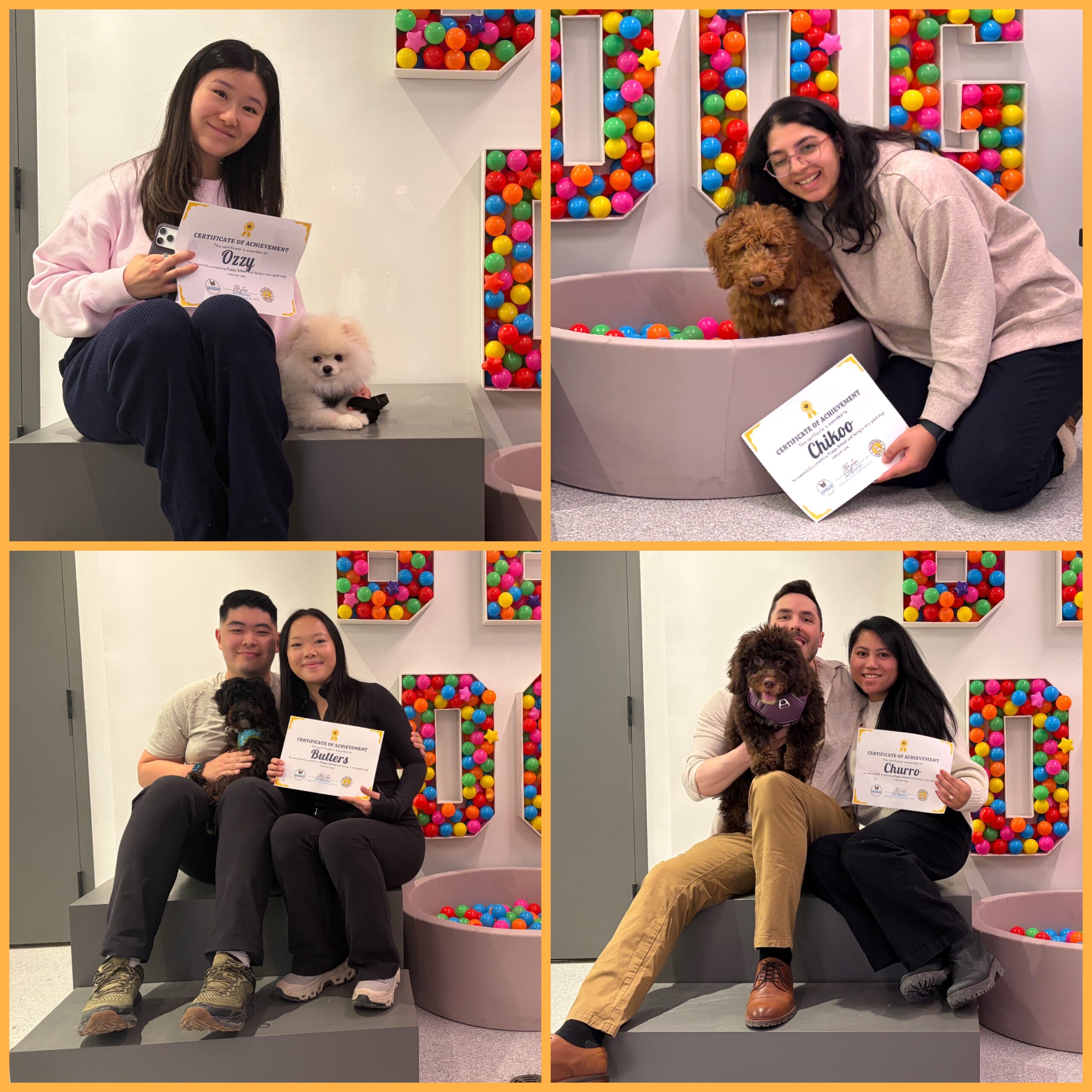 Puppy School Toronto